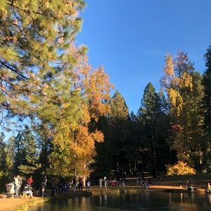 Meet your Posher, Evelyn